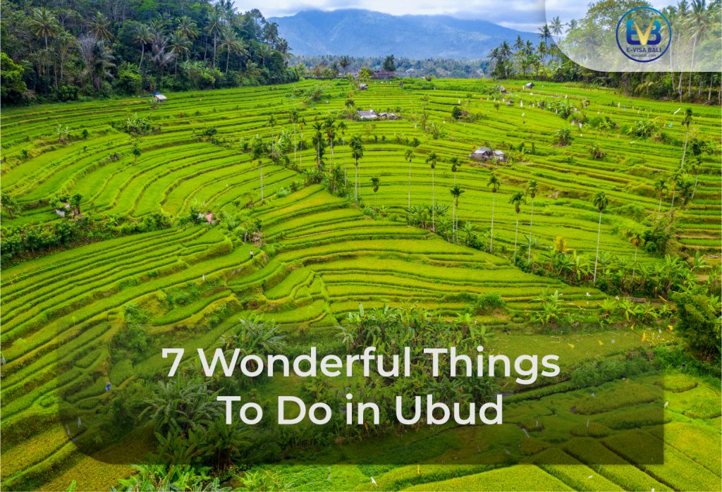 7 Wonderful Things To Do in Ubud