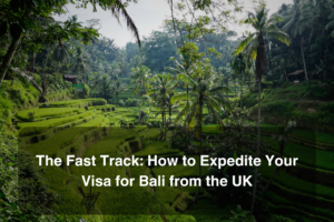 bali tourist visa cost