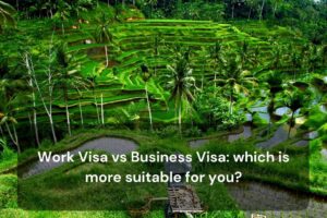 Work Visa vs Business Visa which is more suitable for you