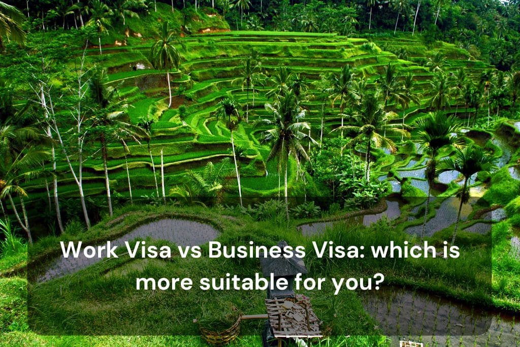 Work Visa vs Business Visa which is more suitable for you