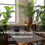 Why Bali Is Ideal for Small Corporate Headquarters