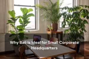 Why Bali Is Ideal for Small Corporate Headquarters