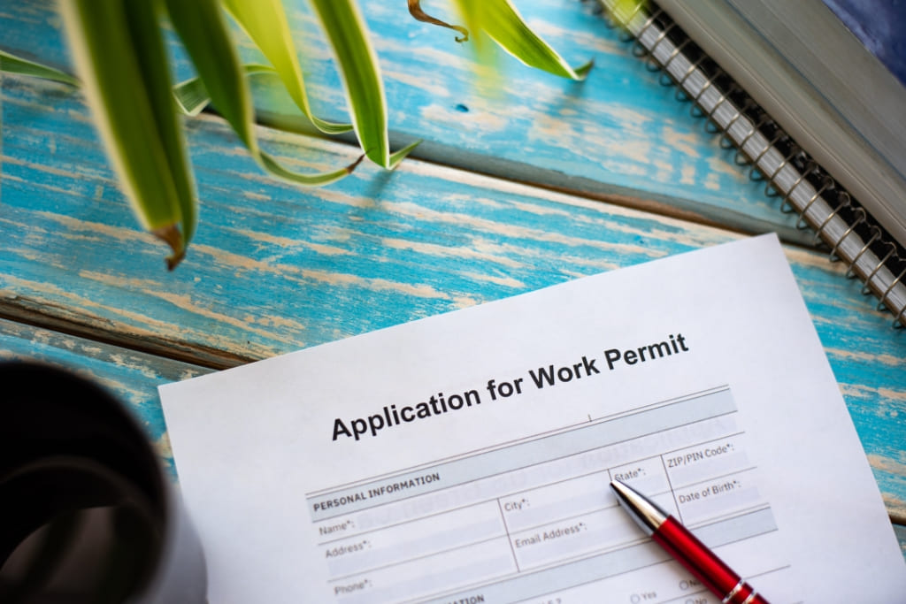 Navigating the Process of Securing a KITAS Work Permit for Foreign Workers in Bali (2)