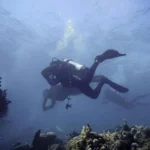 diving in bali