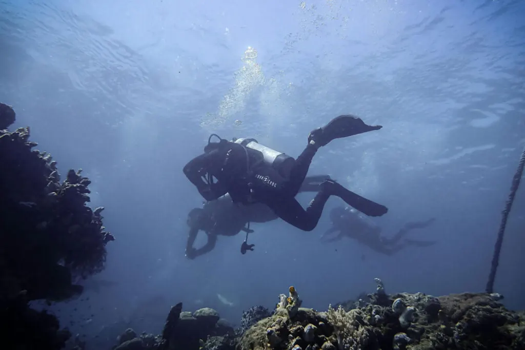diving in bali